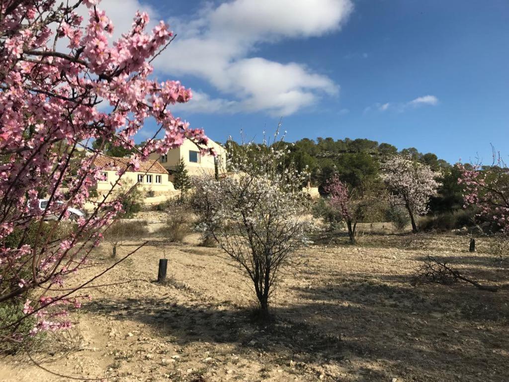 Finca Las Estrellas Relleu Esterno foto